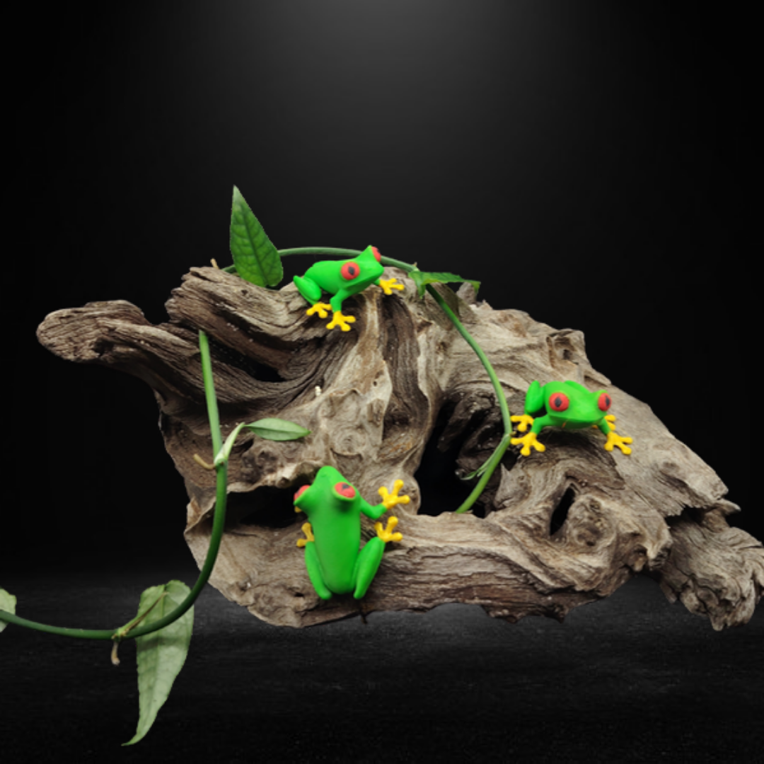 Magnetic Frog product photo