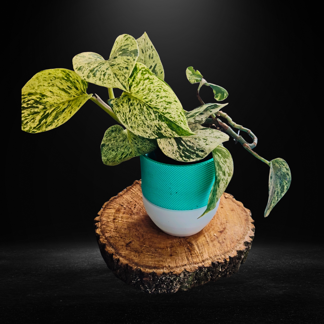 Glowpot Plant Pot