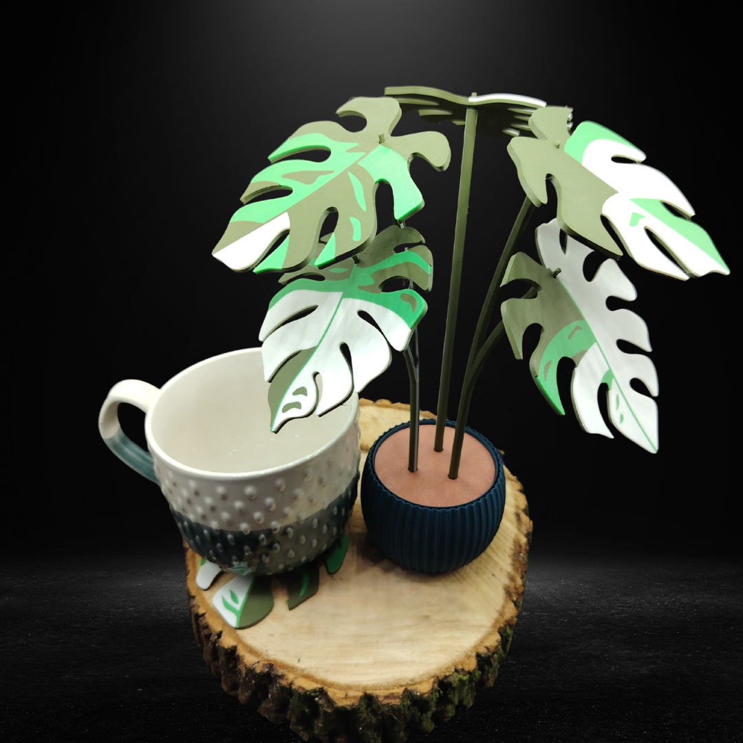 Plant Coaster Set