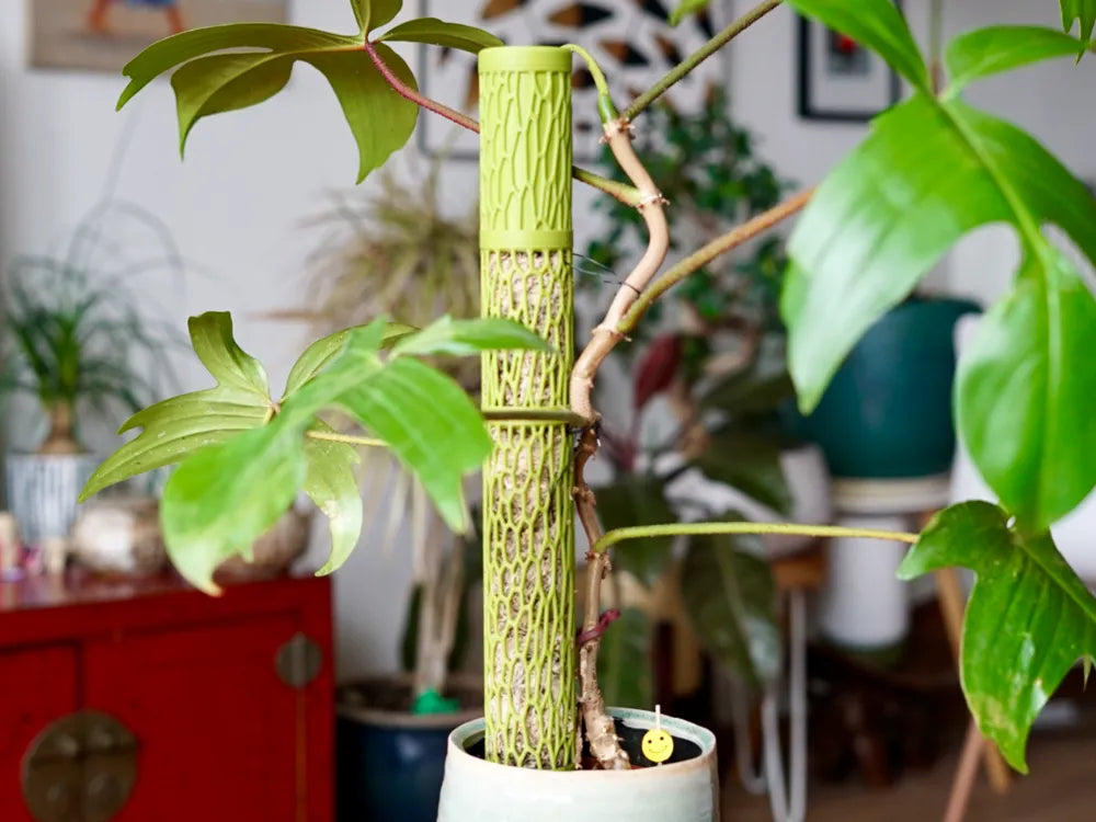 Self Watering Modular Moss Pole