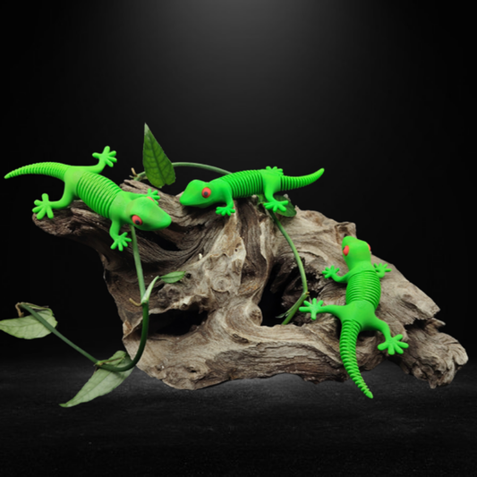 Magnetic Gecko product photo