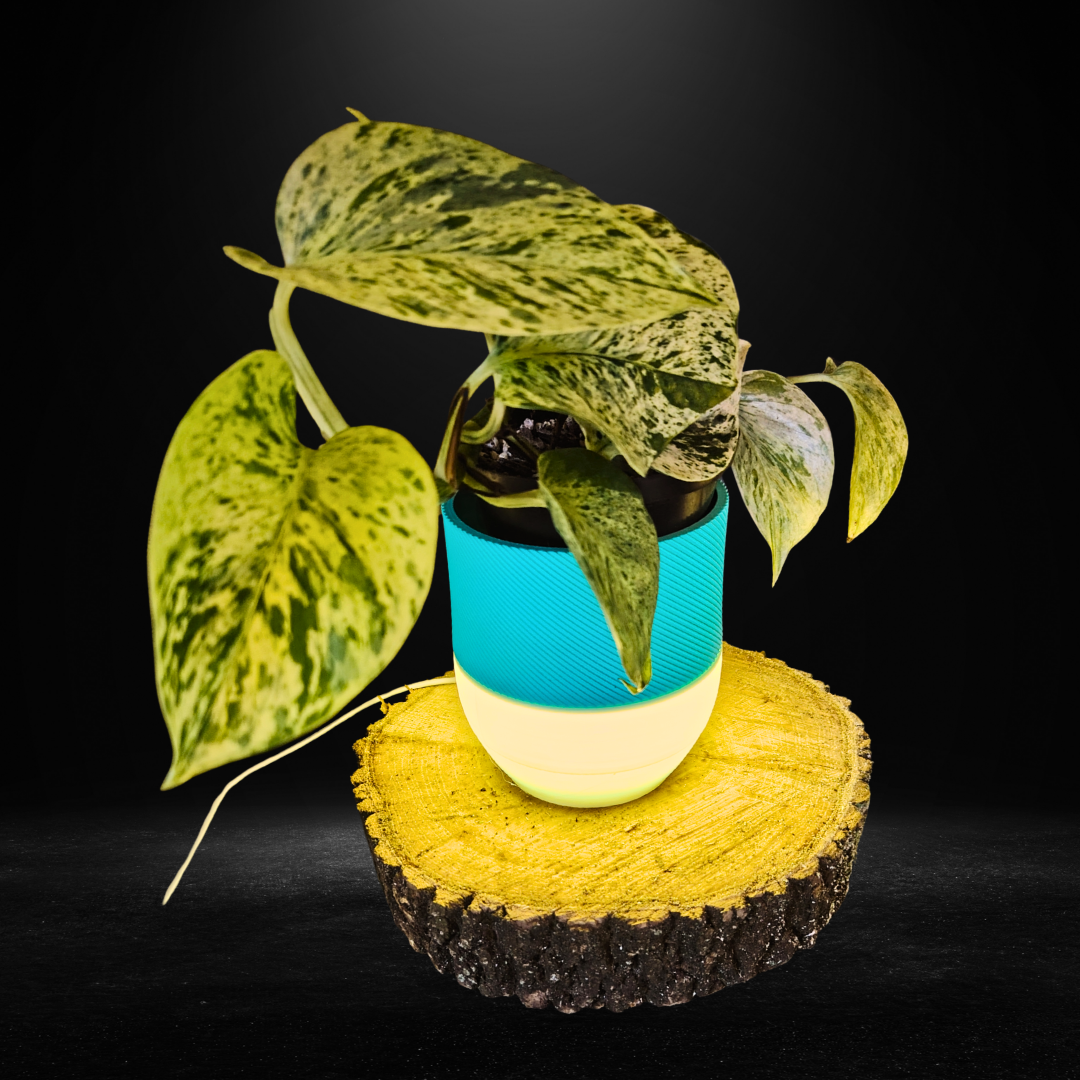Glowpot Plant Pot