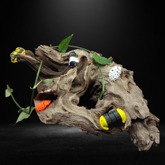 Isopod Bundle product photo