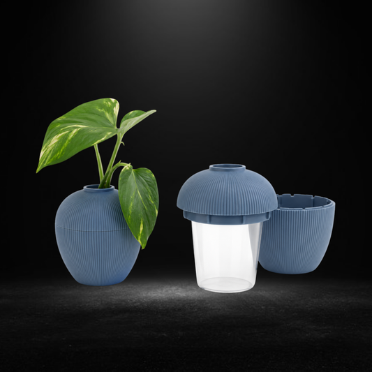 Propagation Jar product photo
