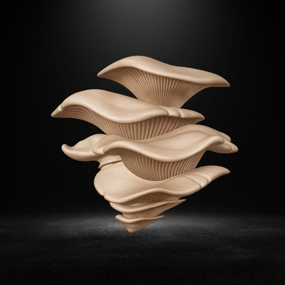 Oyster Mushroom Gecko Ledge product photo