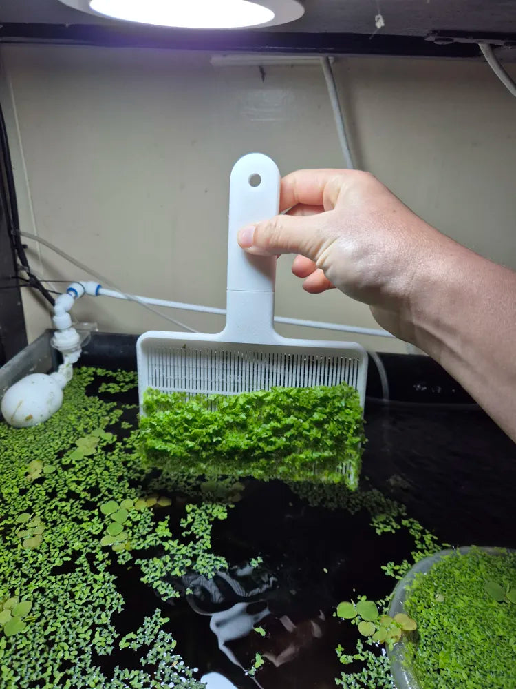 Duckweed Remover Rake