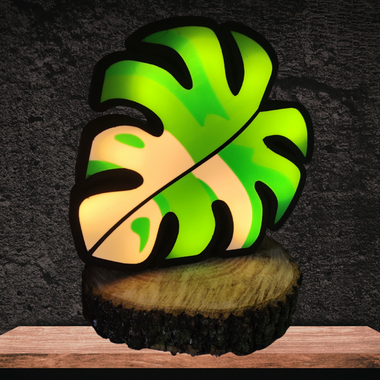 Custom LED Lightboxes