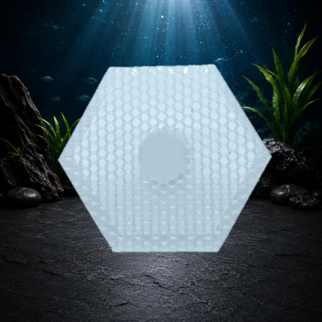 Aquarium Snail Trap