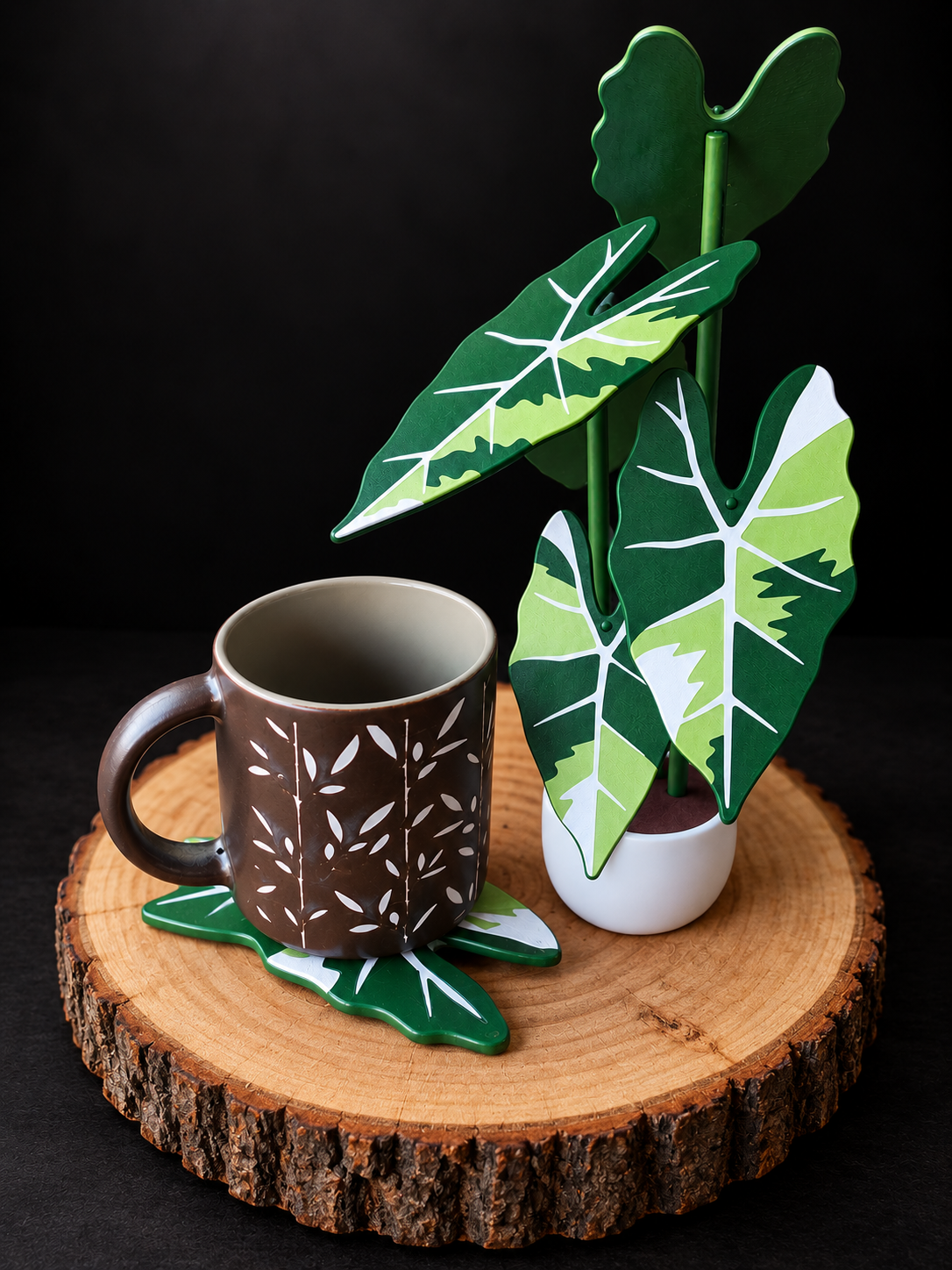 Plant Coaster Set