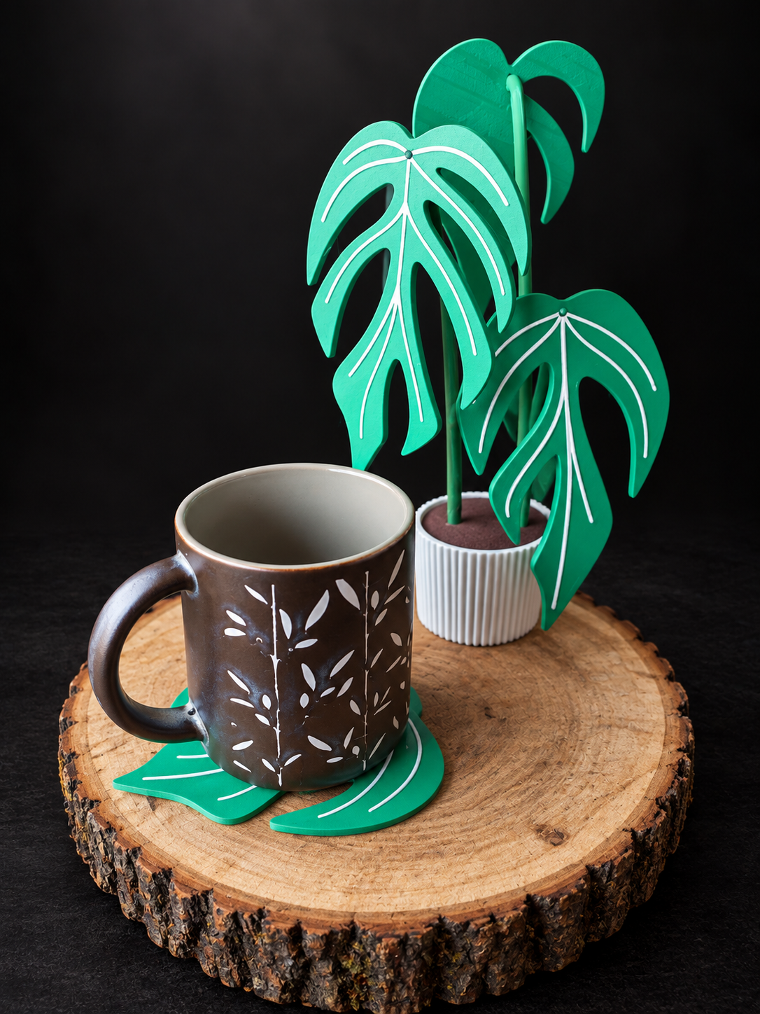 Plant Coaster Set