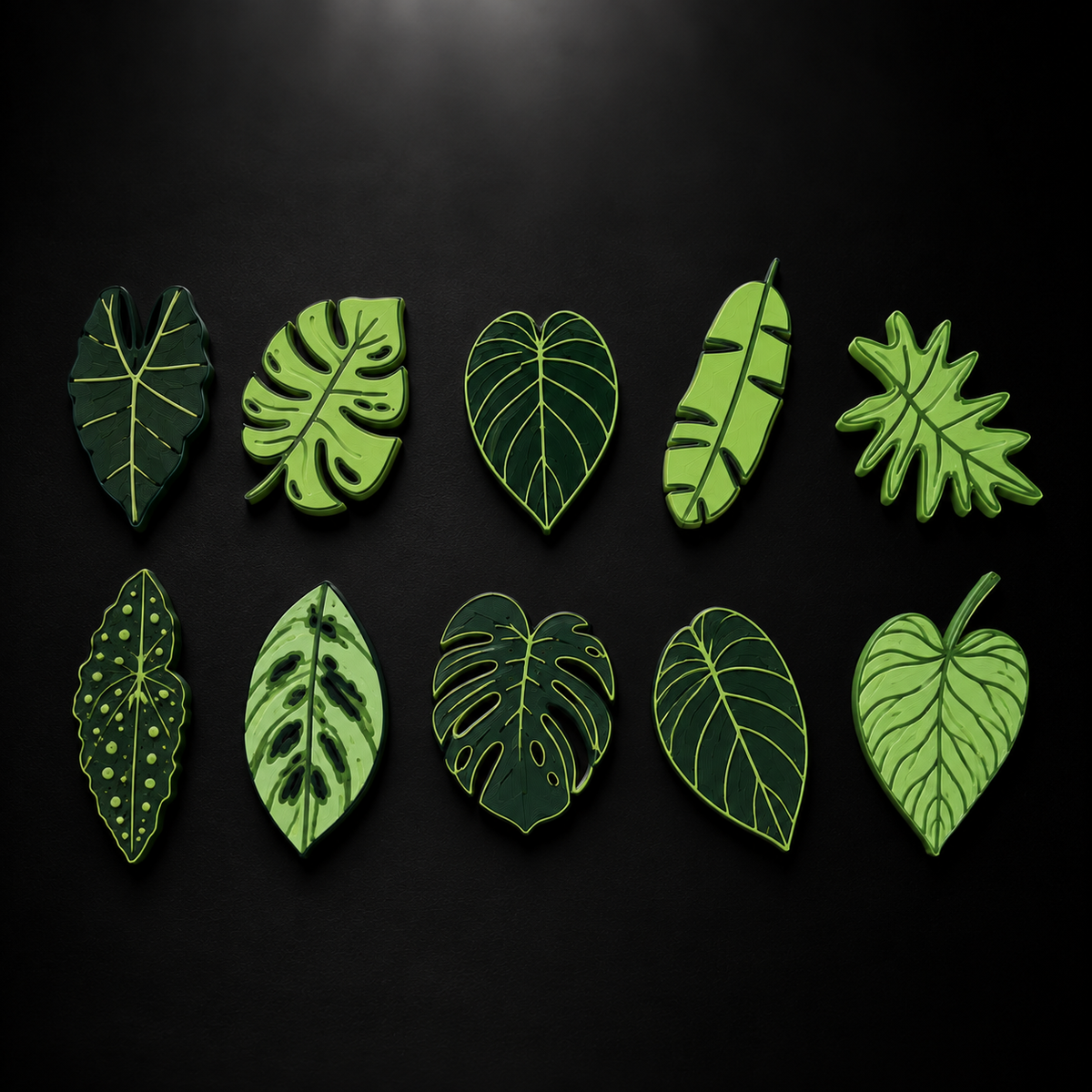 Plant Leaf Magnet Set (10 pieces)